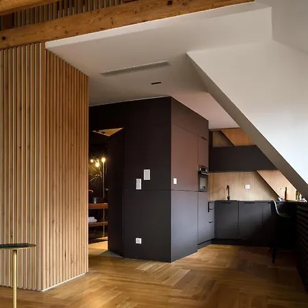 Rive Petite Venise Luxe - Centre - Clim, Ascenseur & Possibilite Parking 아파트 콜마